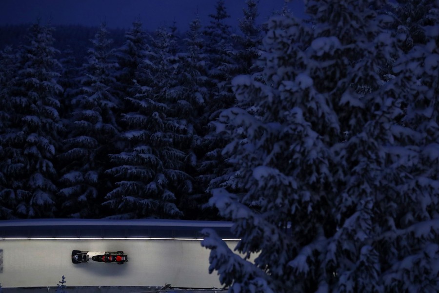 A bobsleigh runs down a track at night, surrounded by snow-covered trees.