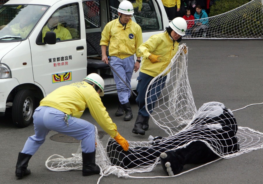 Zoo Security Drills: When Animals Escape - The Atlantic