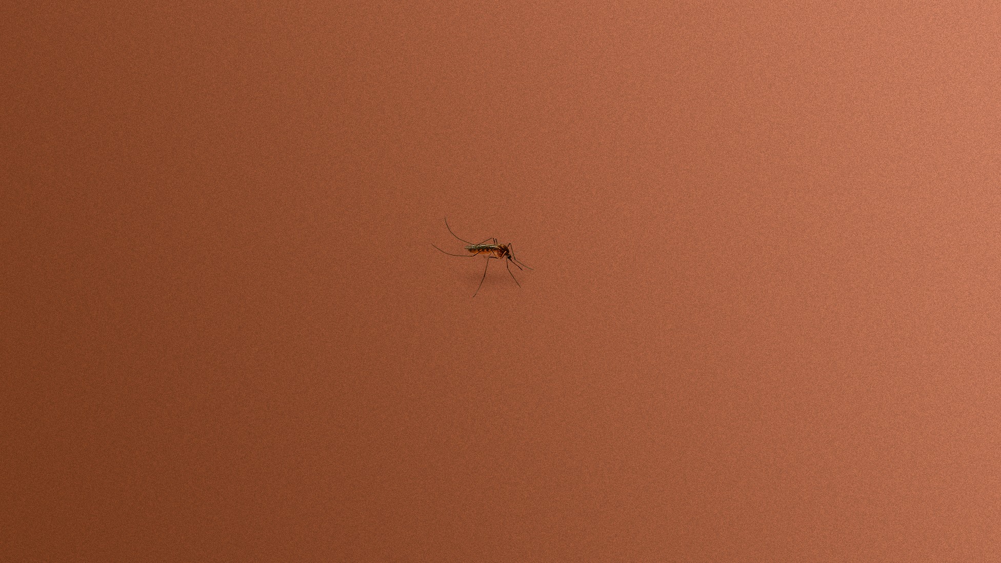 Whatever Happened to Zika? - The Atlantic
