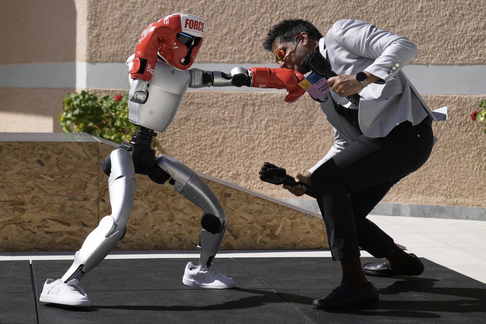 A humanoid robot wearing boxing gloves pretends to fight with a human being.