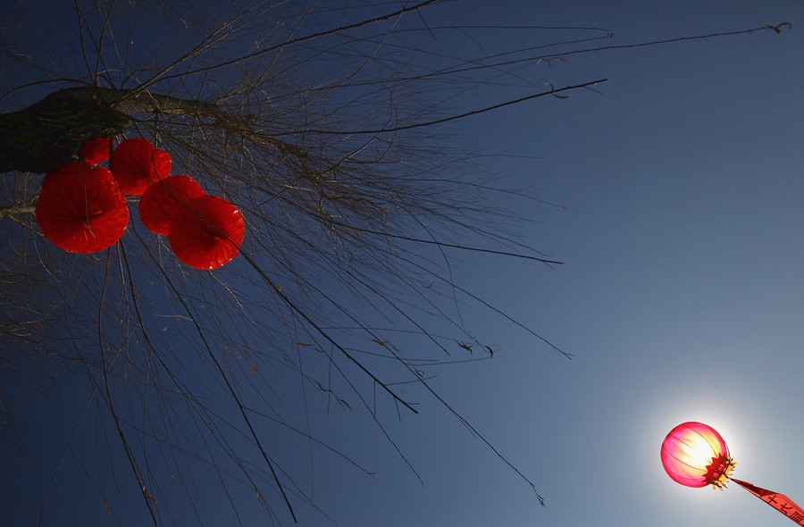 Chinese Lunar New Year 2012 - The Atlantic