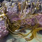 Kelp is draped on purple rocks in shallow water