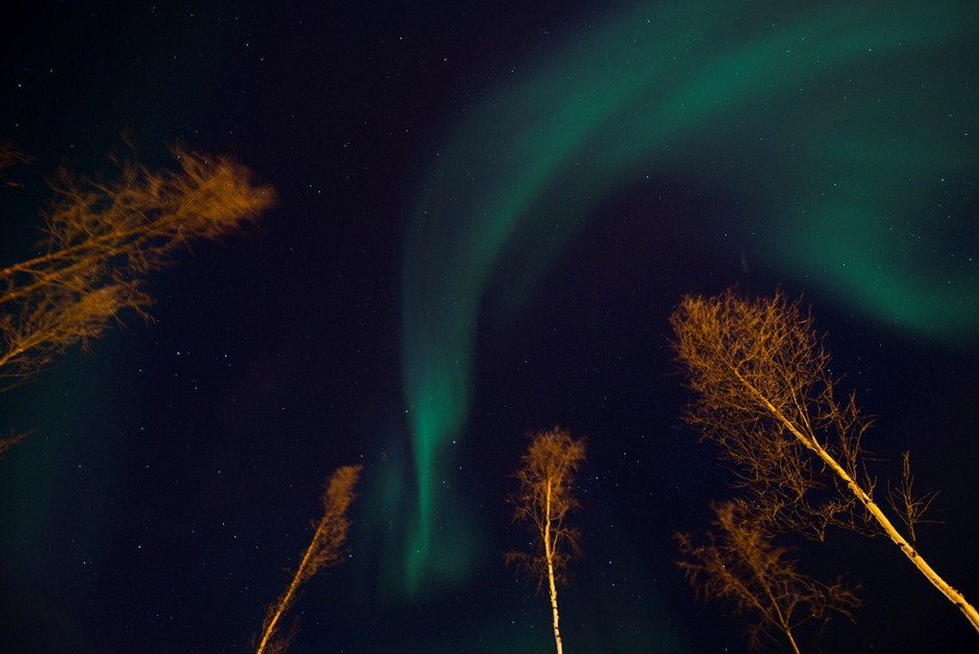 The Northern Lights illuminate the night sky on March 16, 2017 in Alta in northern Norway.