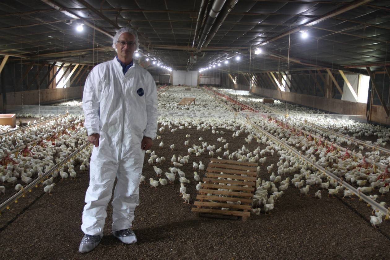 Perdue Improves Chicken Conditions The Atlantic