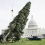 Workers try to stand up the Capitol Christmas tree in 2006.