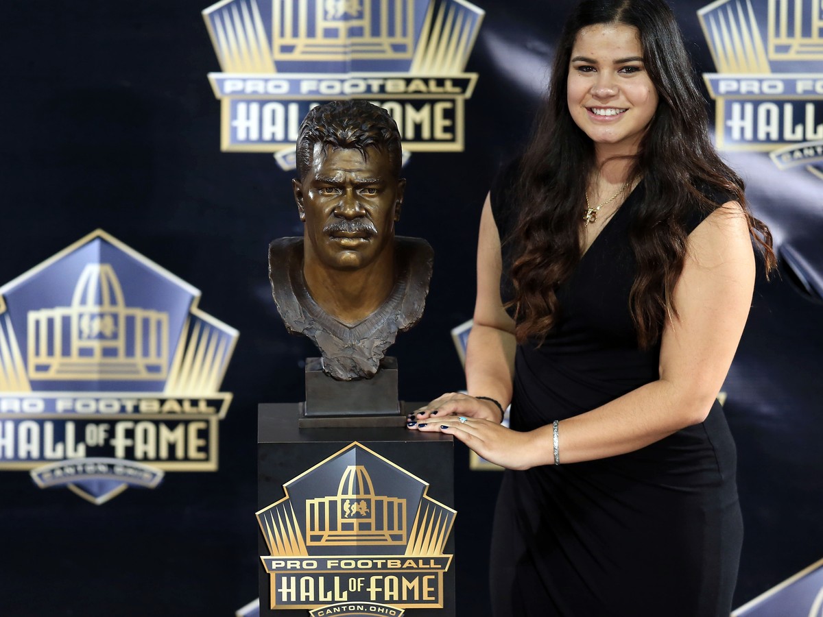 pro football hall of fame 2015