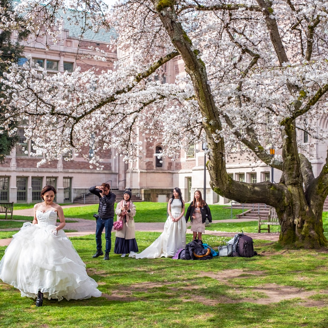 When College Campuses Become Wedding Venues - The Atlantic