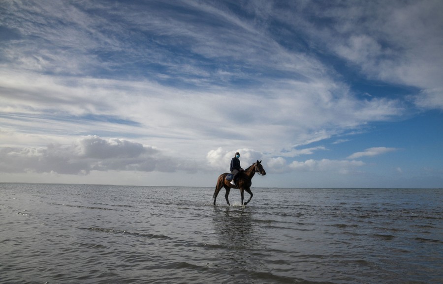 A person rides a horse in shallow water along a beach.