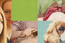 A collage of images including a dog's face, someone brushing a dog's fur, and someone tying a ribbon on a pet