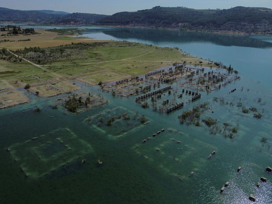 Photos of the Week Mormon Crickets, Dragon Boats, Floating Concert