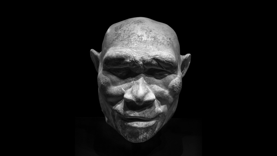 A model of homo erectus