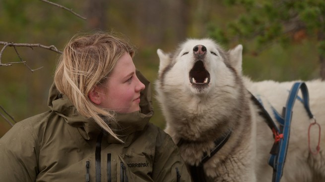 A young woman looks at a husky howling