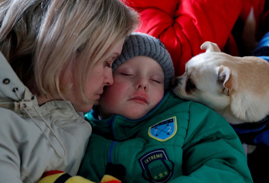 A woman comforts her child as a small pet dog looks on.