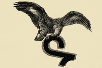 A bald eagle flying while holding and pecking at the TikTok logo