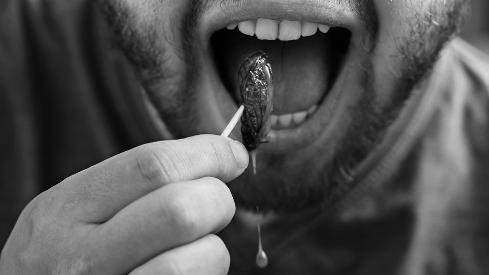 A close-up of a man putting a cooked cicada into his mouth