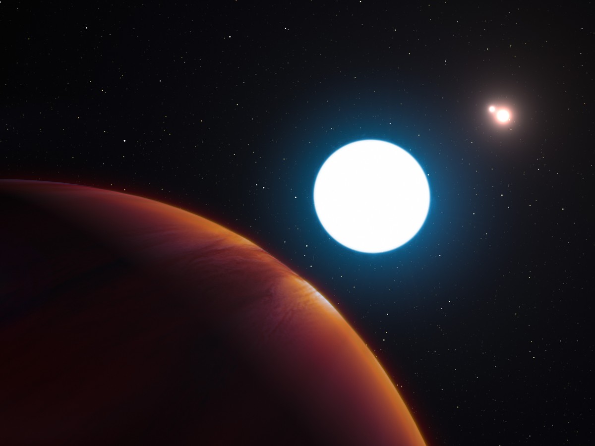 TOO ベロアガウン　moon tree planet TOO | MOON TREE PLANET