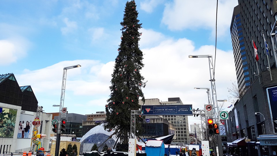 Montreal's very own Charlie Brown Christmas tree