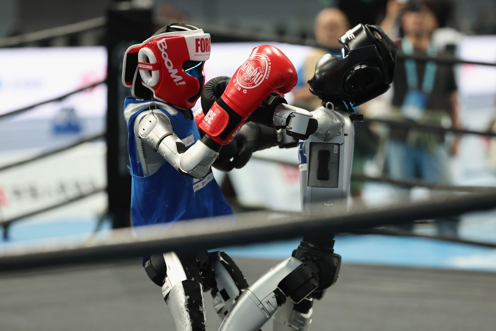 Two robot boxers fight.