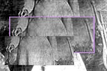 A cropped image of a Black woman's hand is layered over itself