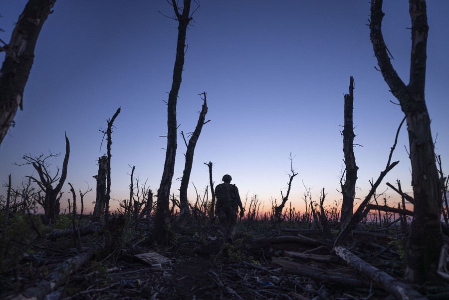 A soldier walks through a shattered stand of trees in a war zone.