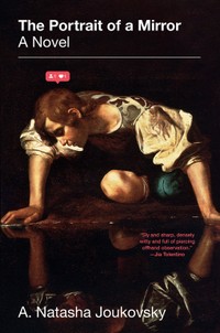 The cover of The Portrait of a Mirror