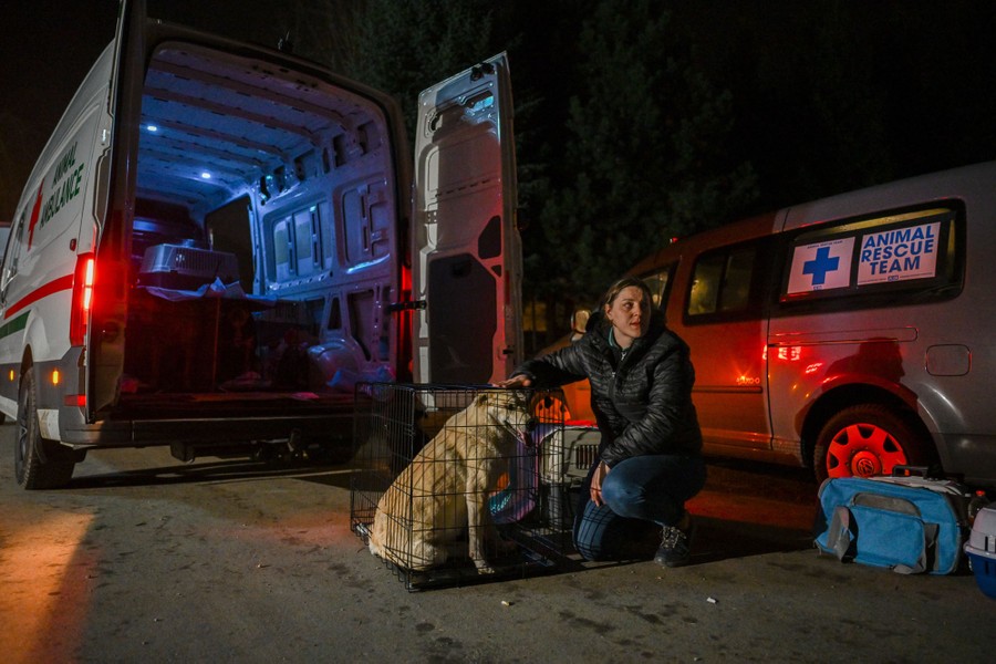 A person kneels beside a small cage holding a dog, behind an open van.