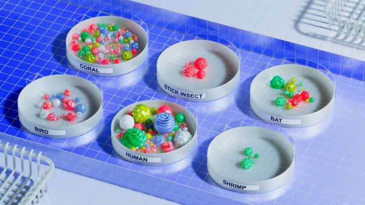A photo of petri dishes from different animals filled with varying amounts of bacteria