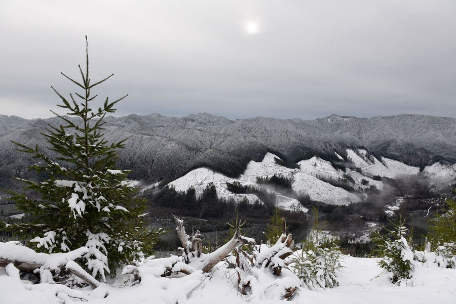 A view of snow-covered mountains and a partially-logged valley.