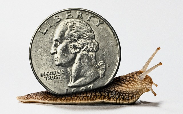An illustration of a snail with a quarter as its shell