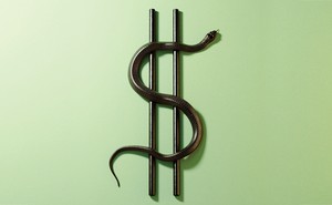 two black rods with a black snake in an S-shape form a dollar sign on a pale green background