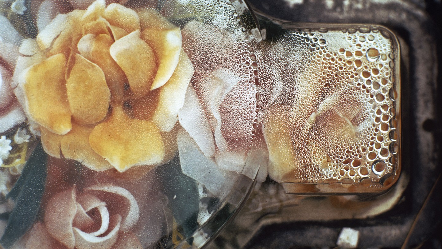 yellow flowers behind plastic in a cemetery