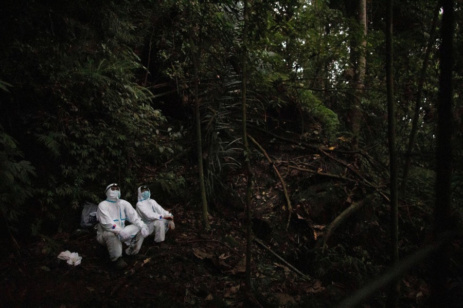 Two people wearing protective gear sit on the ground in a forest, looking up.