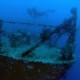 A diver swims at the shipwreck of Spiegel Grove, in the Florida Keys National Marine Sanctuary.