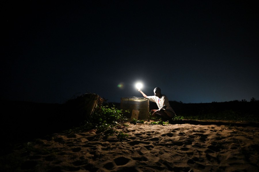A person sits on a beach at night beside a protective cage covering a turtle's nest.