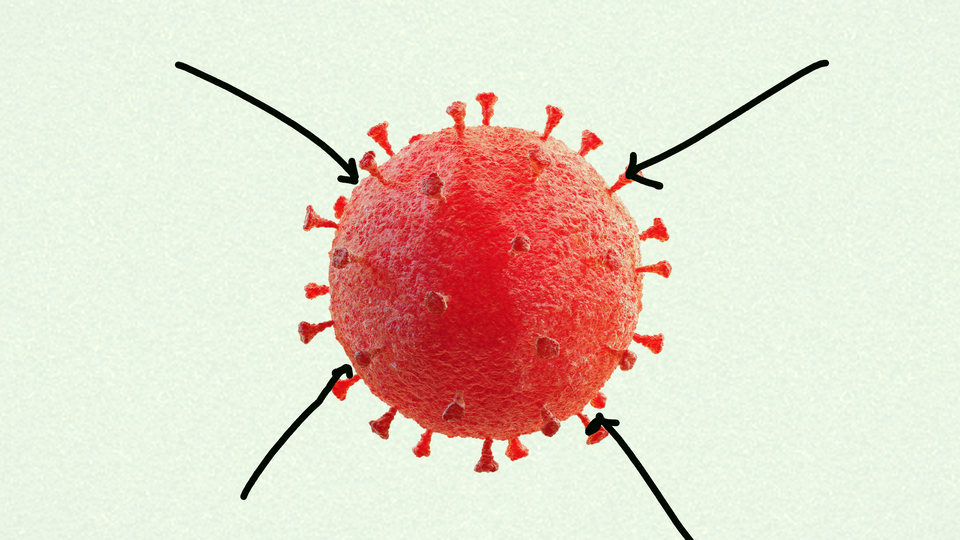 Coronavirus Pandemic