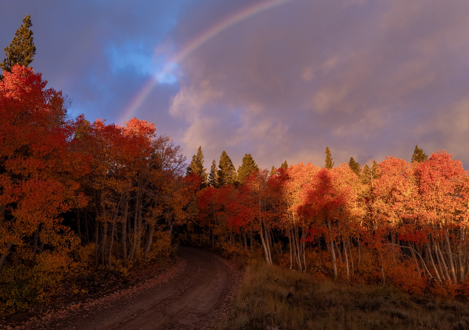 A dim rainbow is visible above a stand of autumn-colored trees.