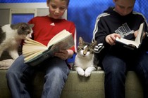 Two elementary-school aged boys read chapter books next to cats.