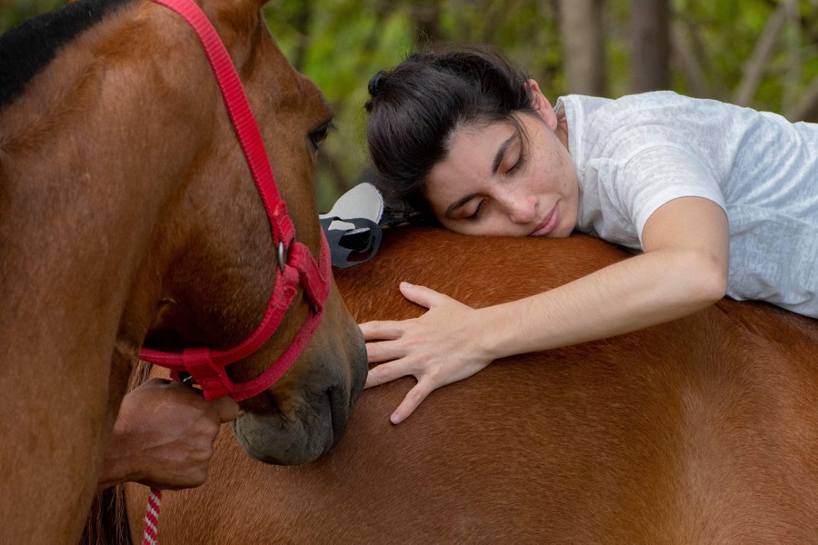 A person lies on top of a horse, hugging it.