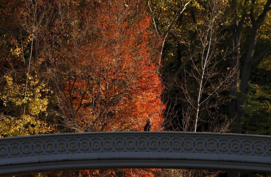 A person crosses a footbridge in a park, backdropped by colorful trees.