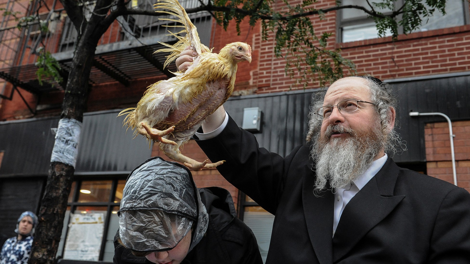 Animal-Rights Groups Target Kaporos and Jewish Groups in a Lawsuit and ...