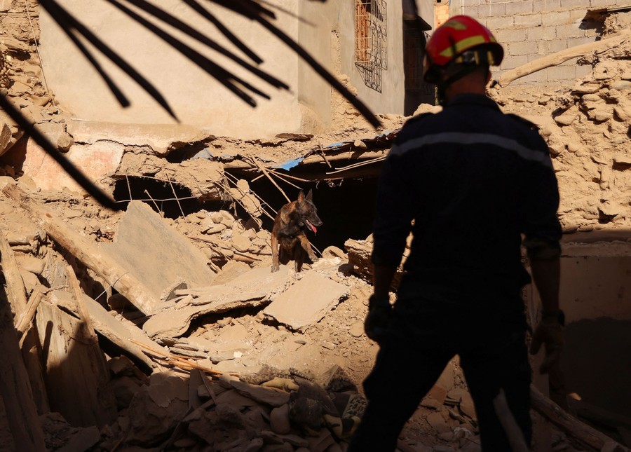An emergency worker and a dog search through a damaged building.