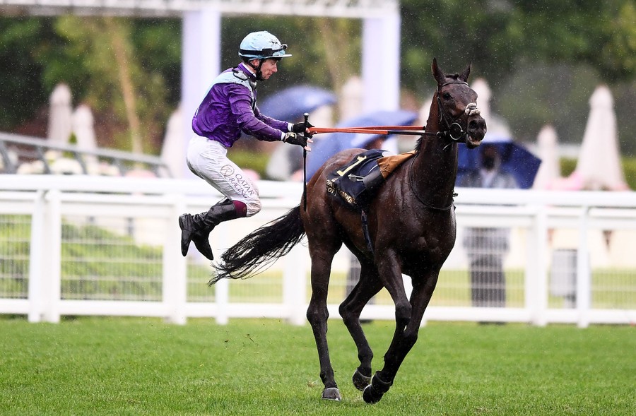 A jockey falls from a running horse.