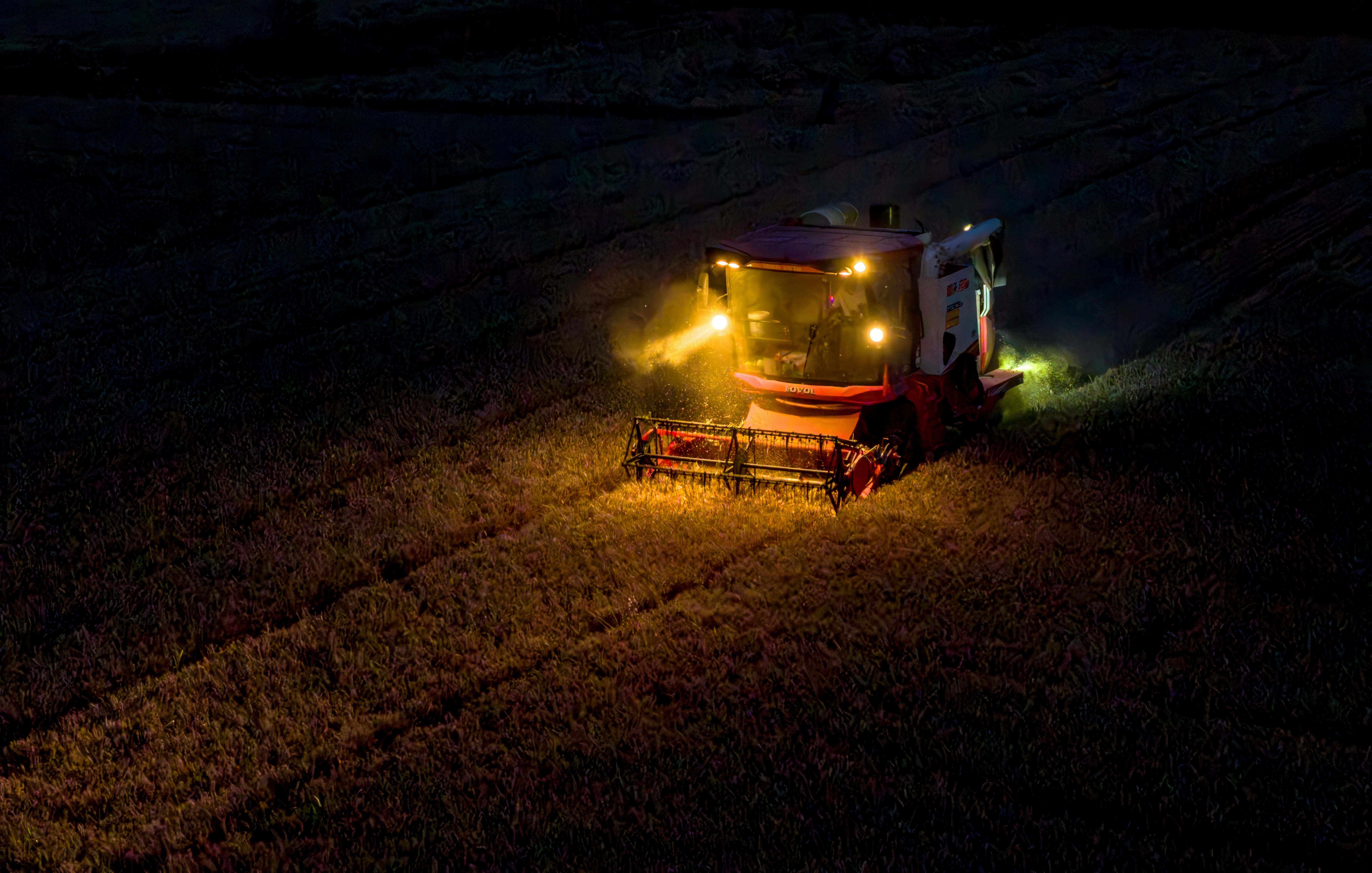 A harvester collects wheat at night.