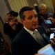 Texas Senator Ted Cruz speaks with reporters.