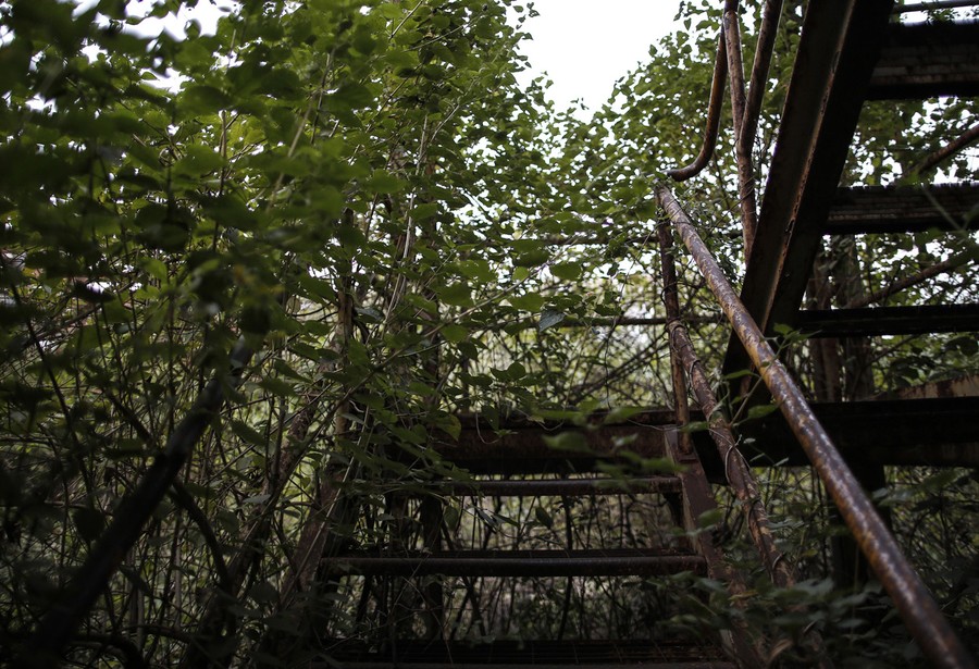 A rusty staircase overgrown with plants.