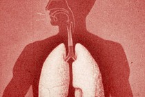 A sillouhette of a person in red, with lungs and esophogus, hiccups