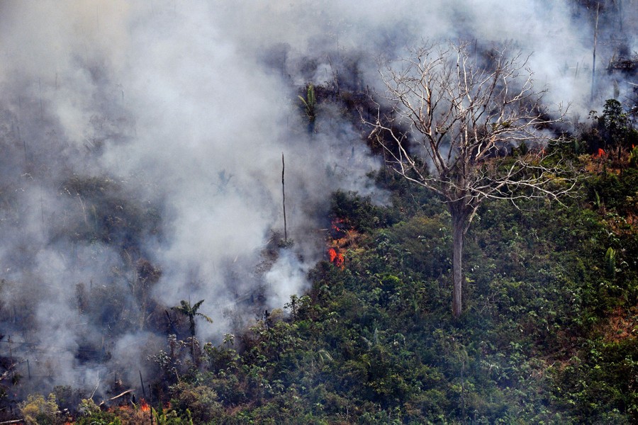 Photos The Burning Amazon Rainforest The Atlantic