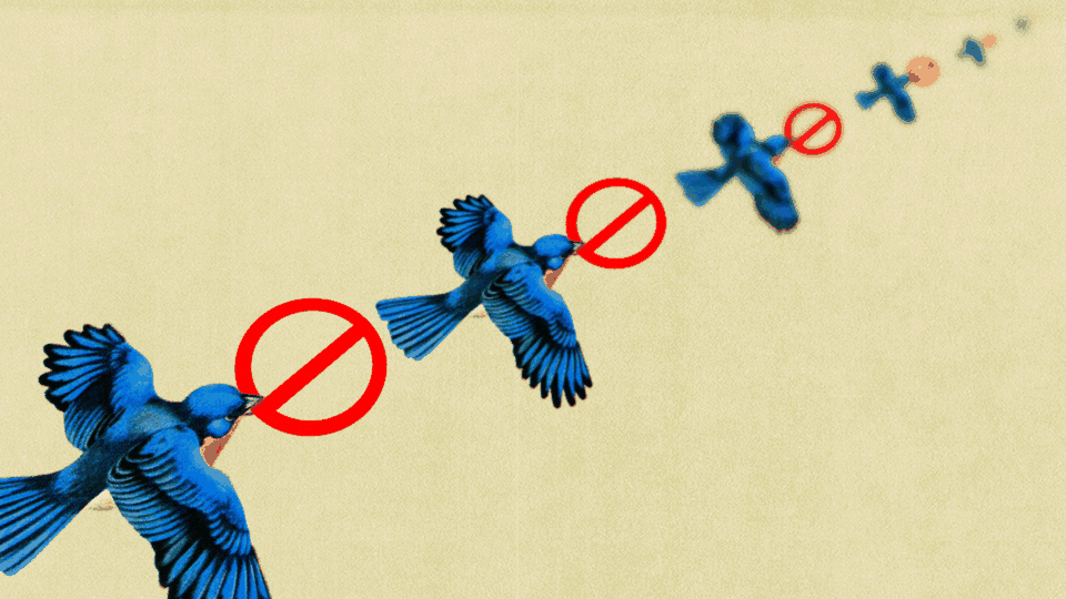 An image of blue birds flying away while holding a red circle with a dash through it, of the sort seen on "No Smoking" signs