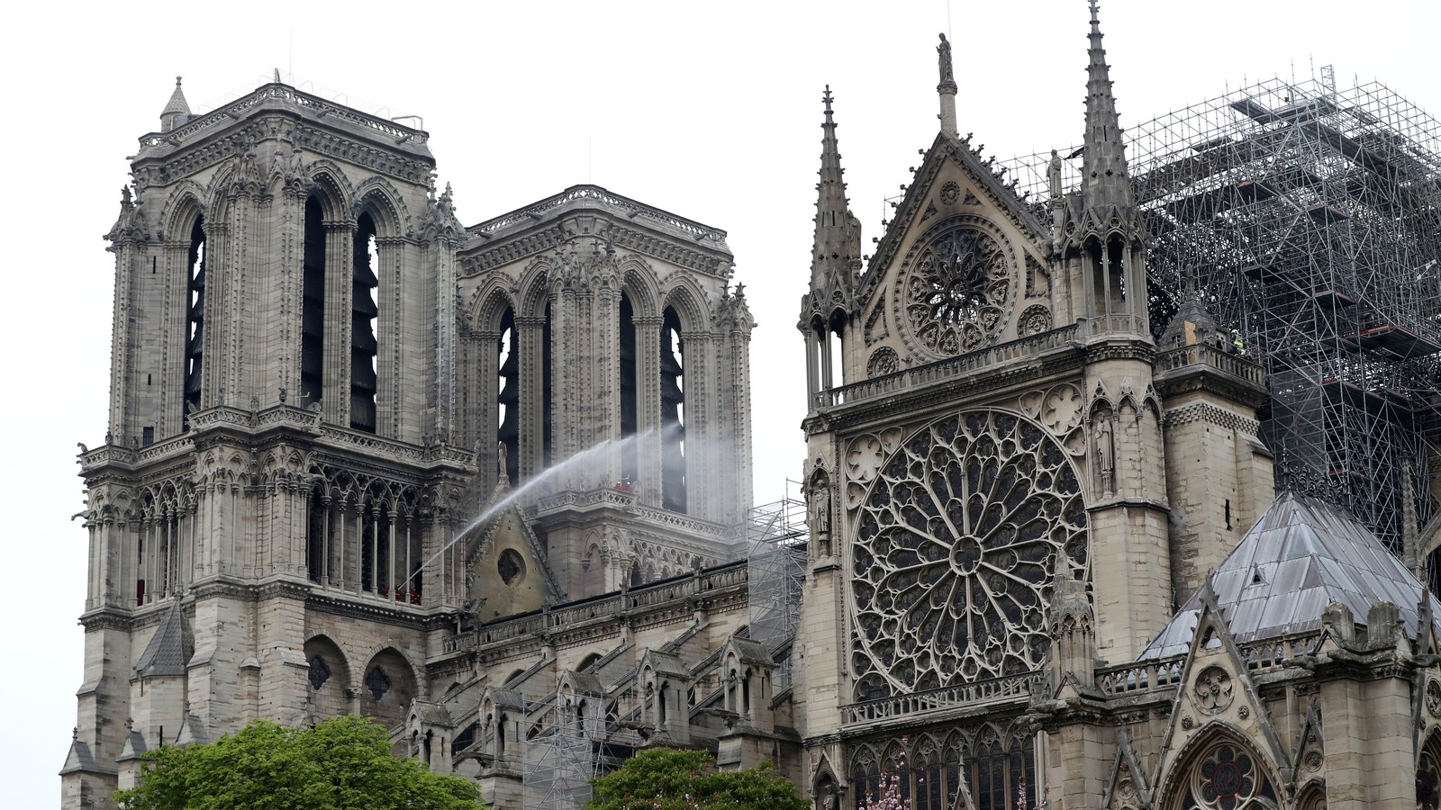 Почему нотр дам. Базилика собора Парижской Богоматери.