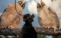 A person uses a virtual-reality headset in front of a large mural of two owls.
